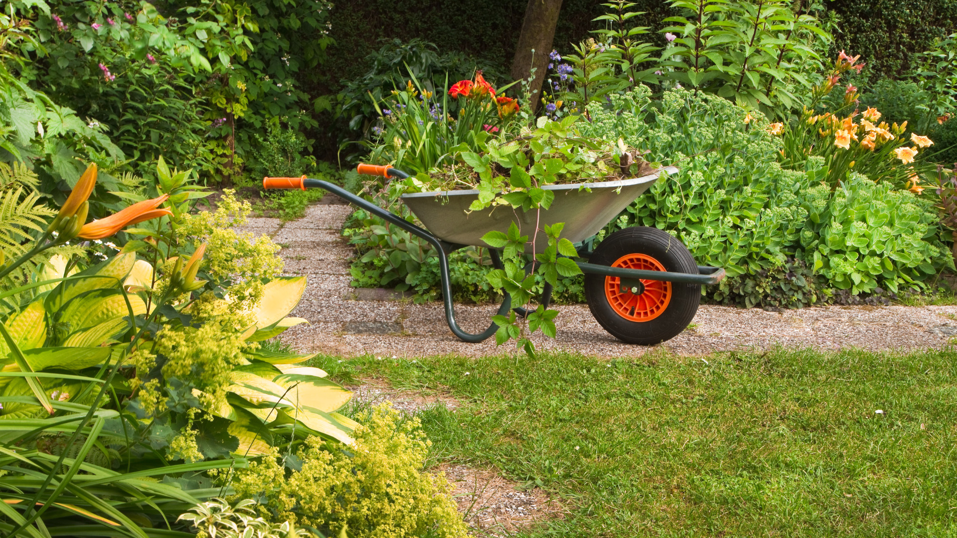 How much gardeners charge per hour depends on two things – the types of gardening tasks he’ll be doing and the size of your garden. - Garden Maintenance North Shore, Auckland